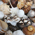 extra large beige tan shell mix